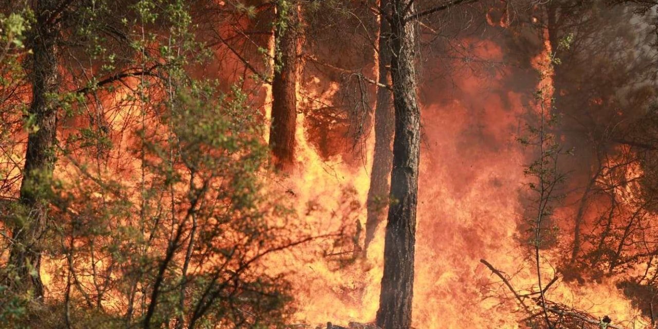 Orman yangınına damacana ve küreklerle koştular!