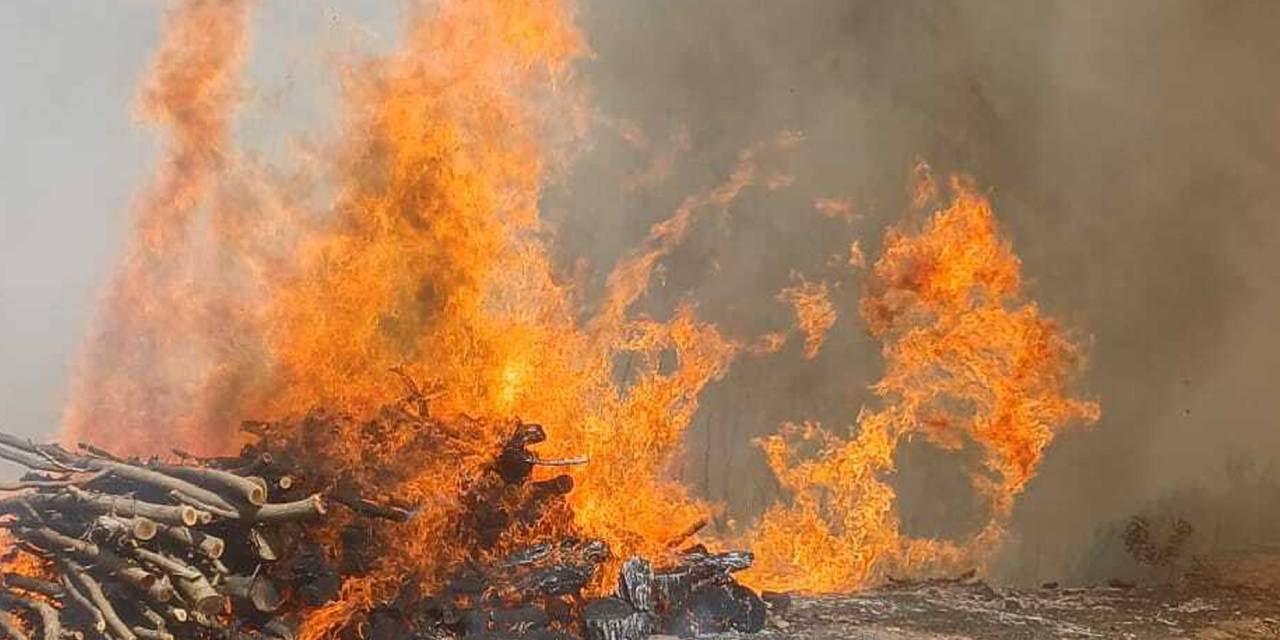 Malatya'daki orman yangını kontrol altında