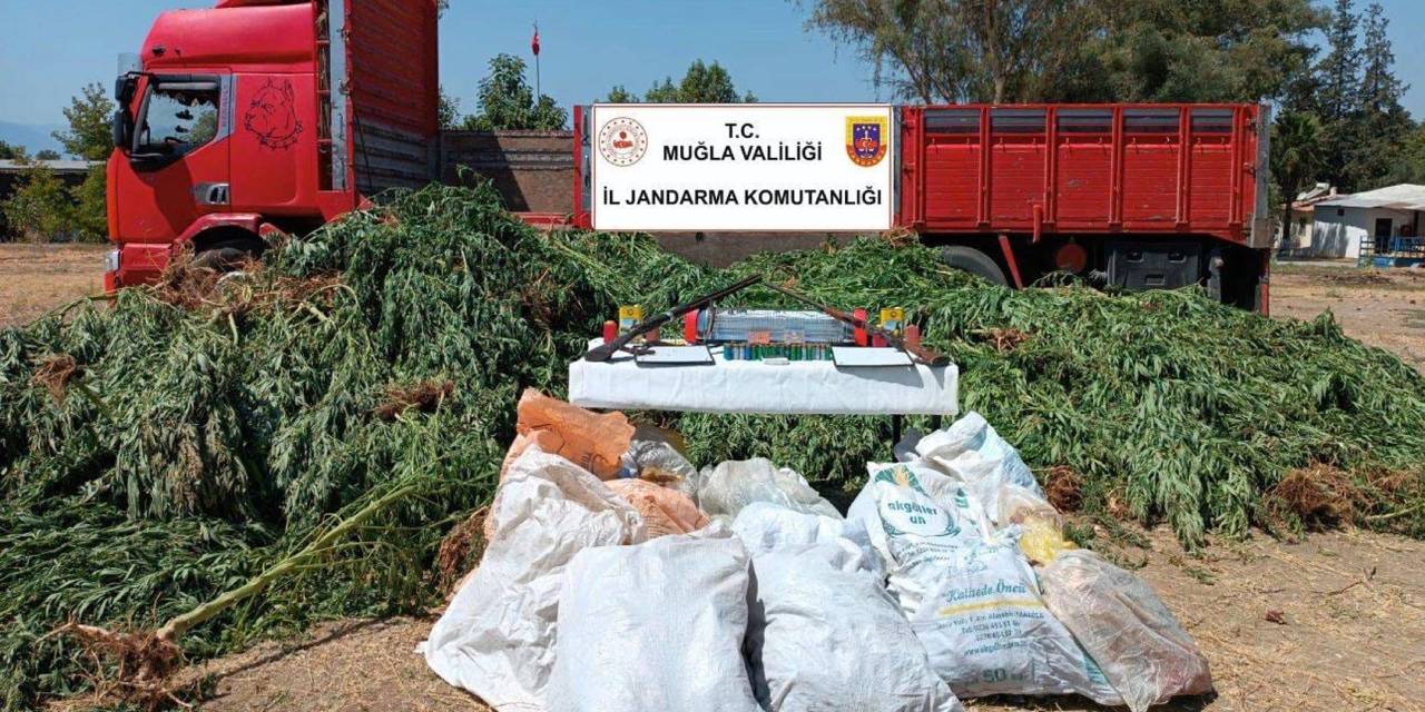 Ailece ticaretini yapıyorlarmış