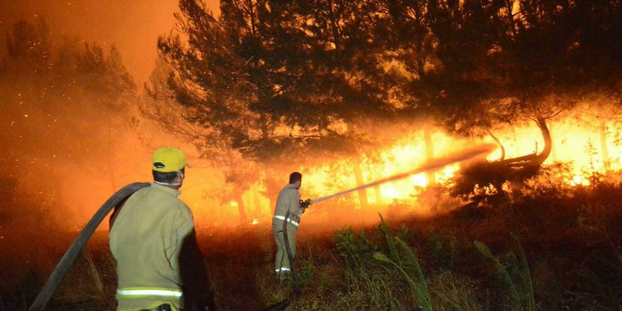 Çanakkale'deki yangınlar analiz edildi: Binlerce hektar yandı