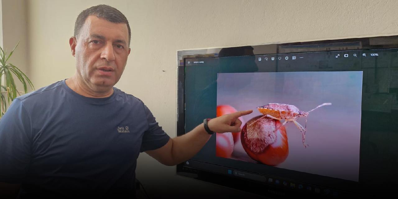 En son Diyarbakır’da ortaya çıktı: 300’e yakın bitkiye zarar veriyor