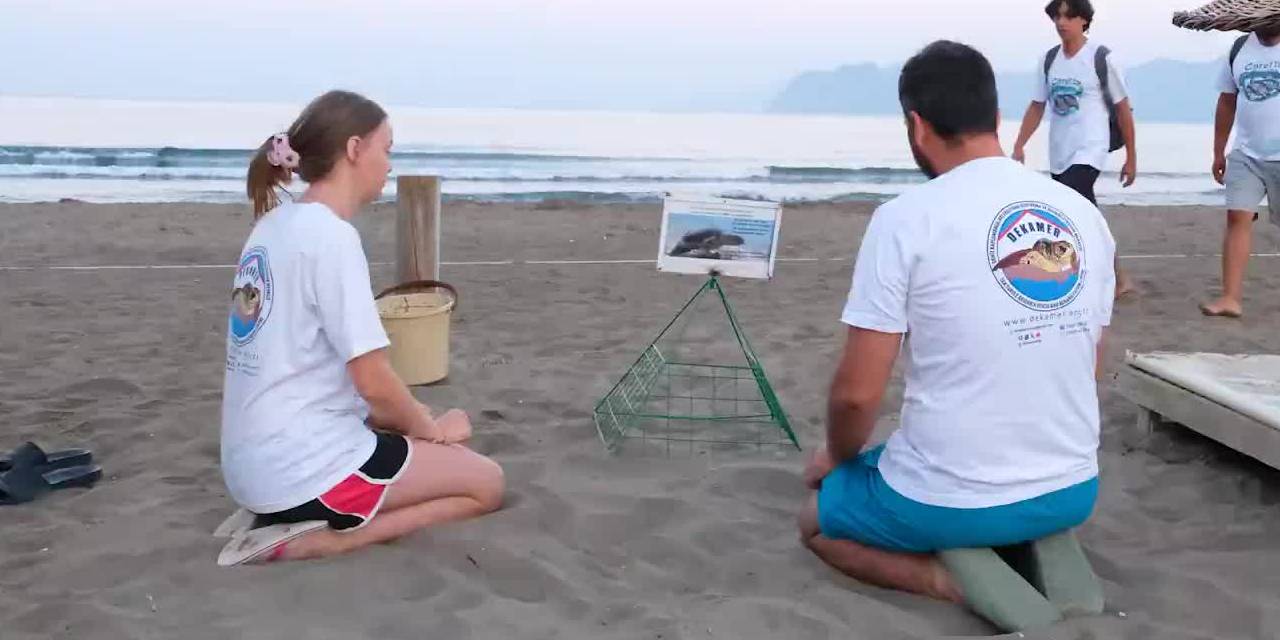 Bakan Kurum açıkladı: 40 bin 285 yavru kaplumbağa denizle buluştu