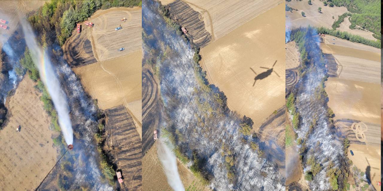 Adana yangını kontrol altına alındı