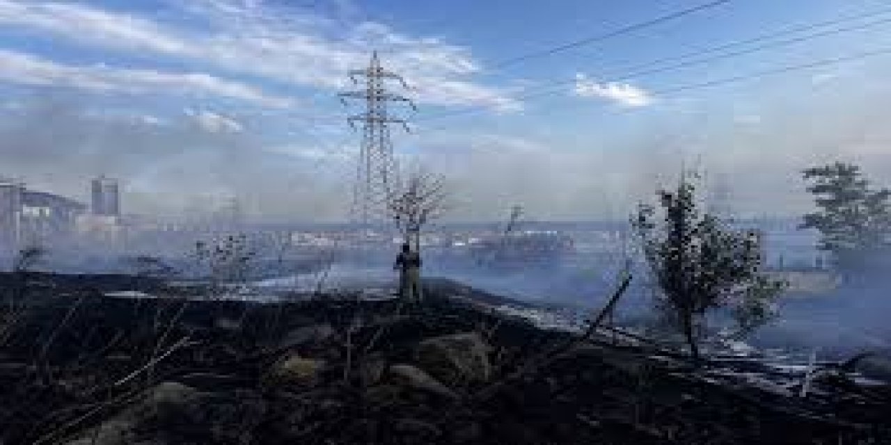 Esenyurt'ta otluk alanda yangın