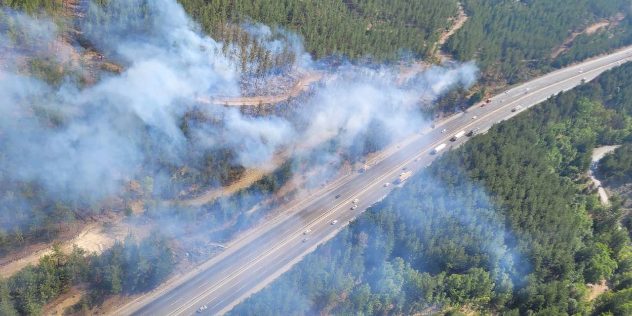 Adana'daki orman yangını kontrol altında