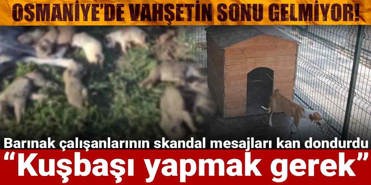 Osmaniye’de vahşetin sonu gelmiyor! Barınak çalışanlarının skandal mesajları kan dondurdu