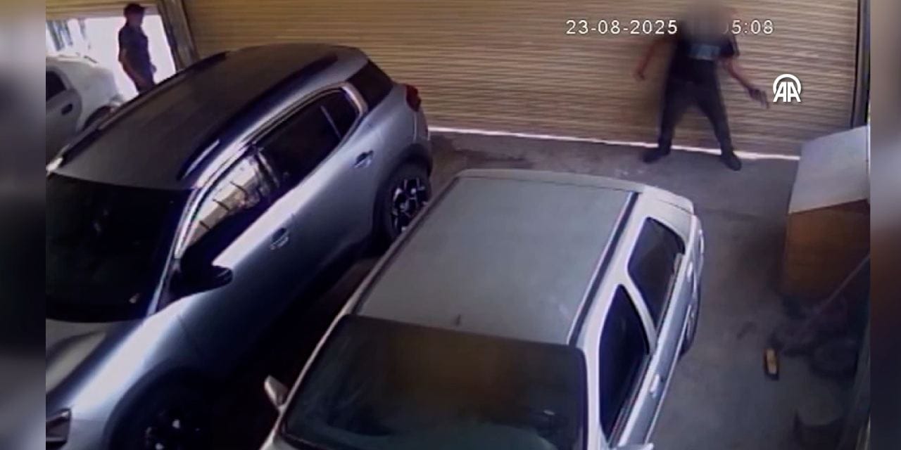 Gözünü kırpmadan zavallı köpeği katletti! Tutuklandı