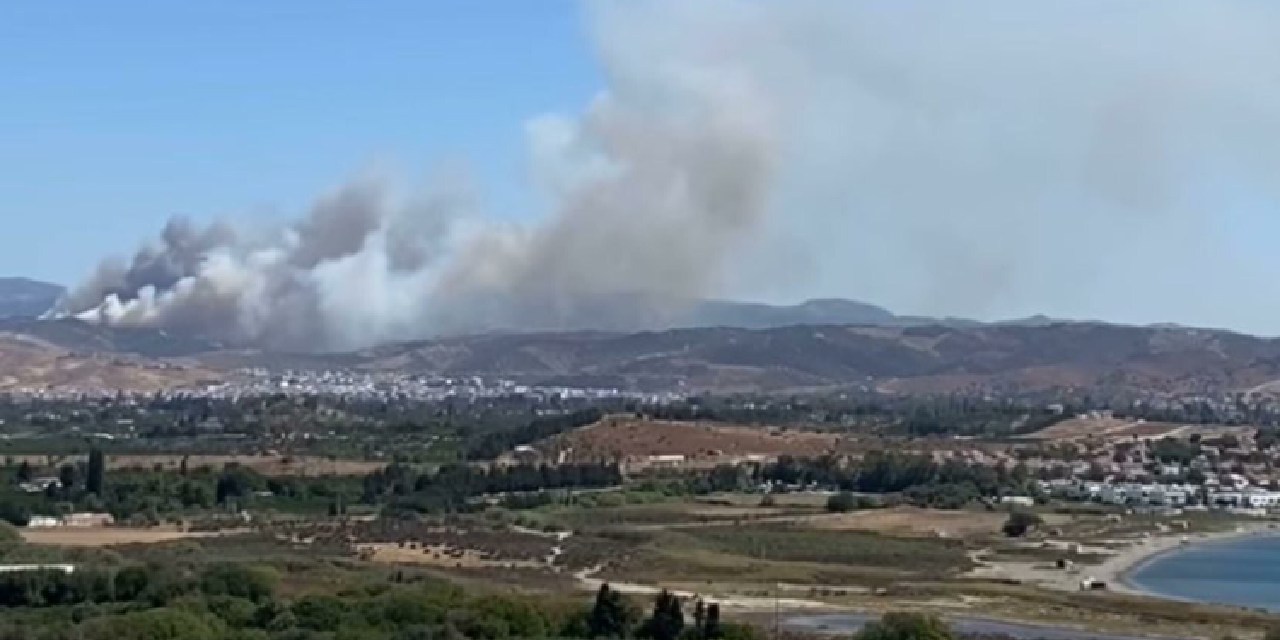 İzmir'de orman yangını