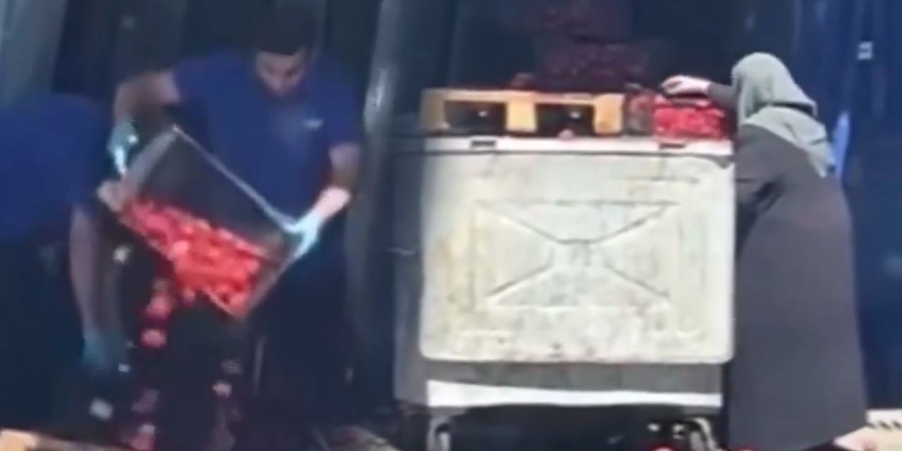 İşte Türkiye bu hale geldi! Onlar çöpe döktü yaşlı kadın çürük domatesleri topladı