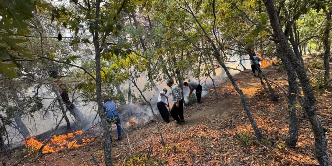 Son dakika | Yangın kabusu bu kez Adana'da!