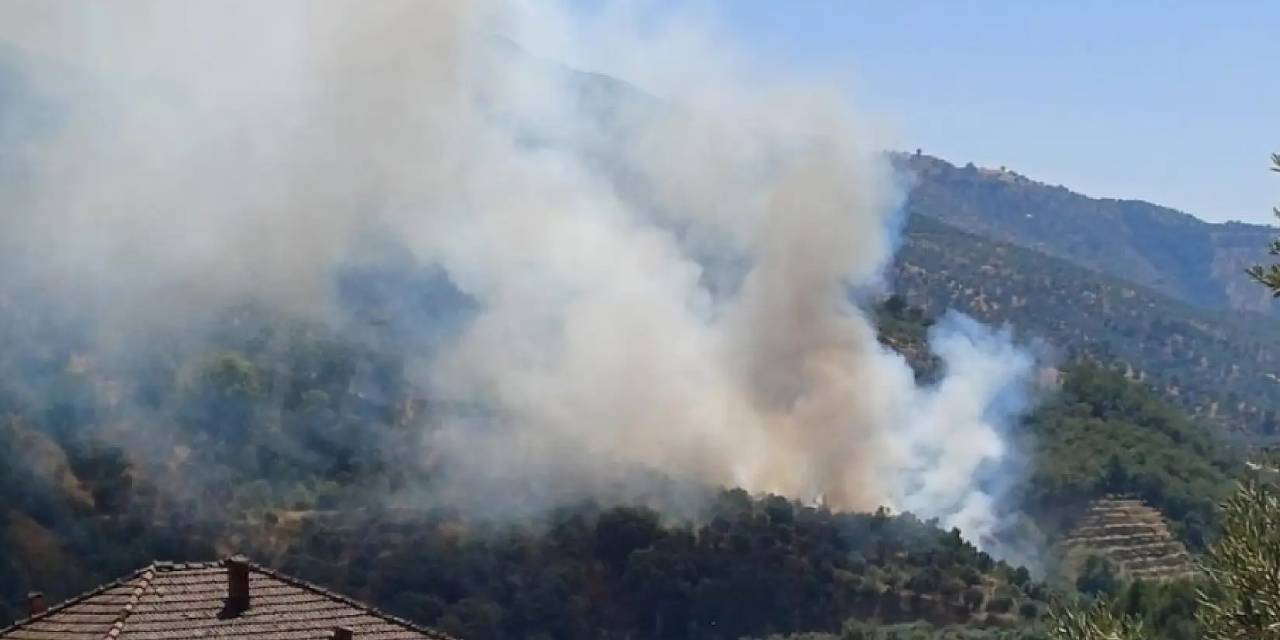 Muğla'da orman yangını!