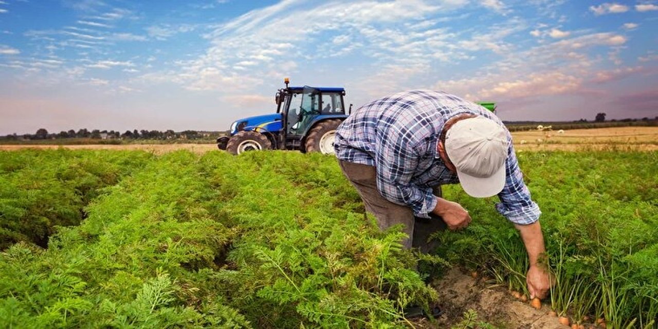 Çiftçi devletten 480 milyar lira alacaklı çıktı: Anayasa maddesiyle açıkladı