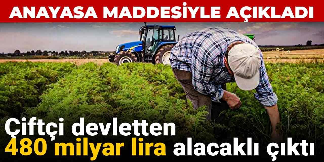 Çiftçi devletten 480 milyar lira alacaklı çıktı: Anayasa maddesiyle açıkladı