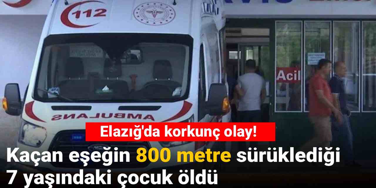 Elazığ'da korkunç olay! Kaçan eşeğin sürüklediği 7 yaşındaki çocuk öldü