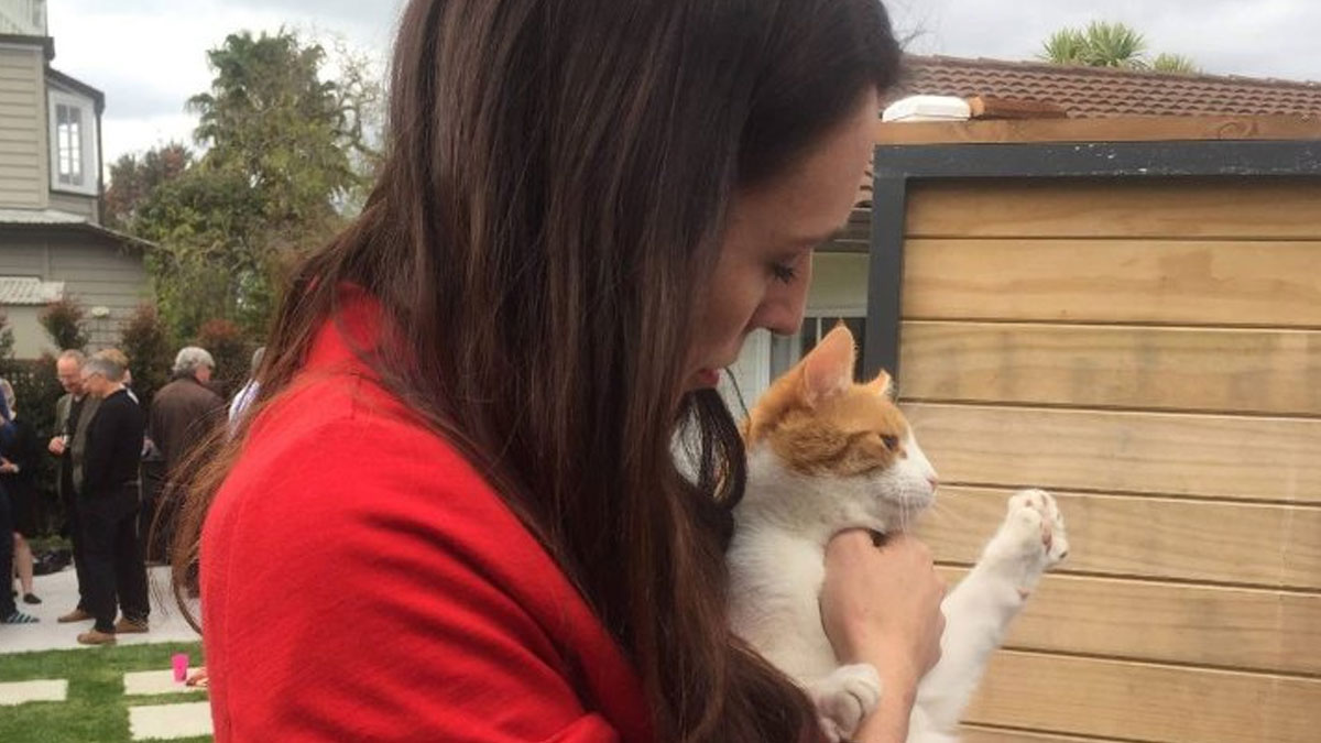 İki yıl sonra gelen itiraf: Yeni Zelanda Başbakanı'nın kedisini ben öldürdüm
