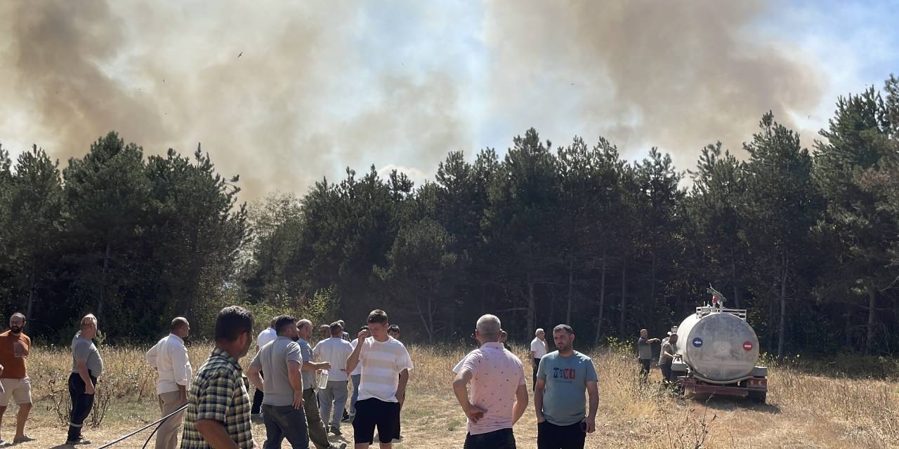 Sakarya'da ormanlık alanda yangın