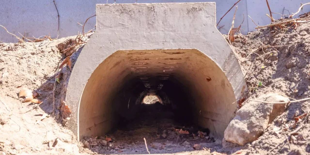 Rahat çiftleşsinler diye 1.5 milyon liraya 'aşk tüneli' inşa edildi