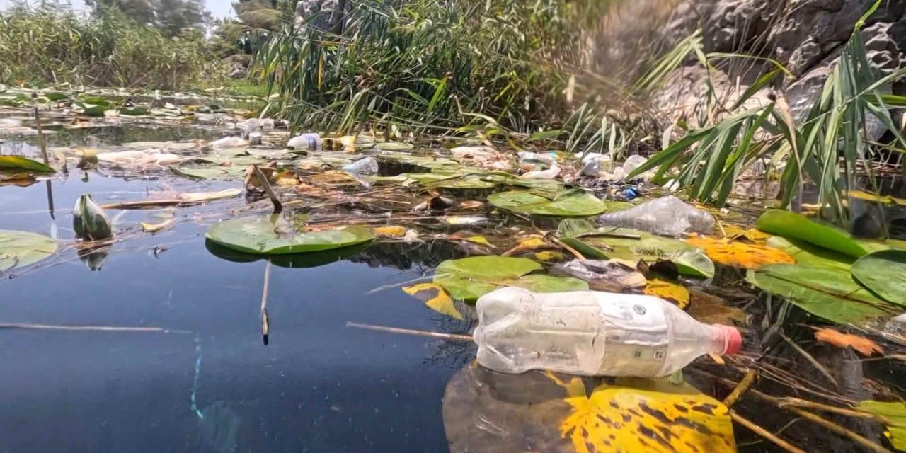 Antalya'da utandıran manzara: Şişeler, plastikler, poşetler…