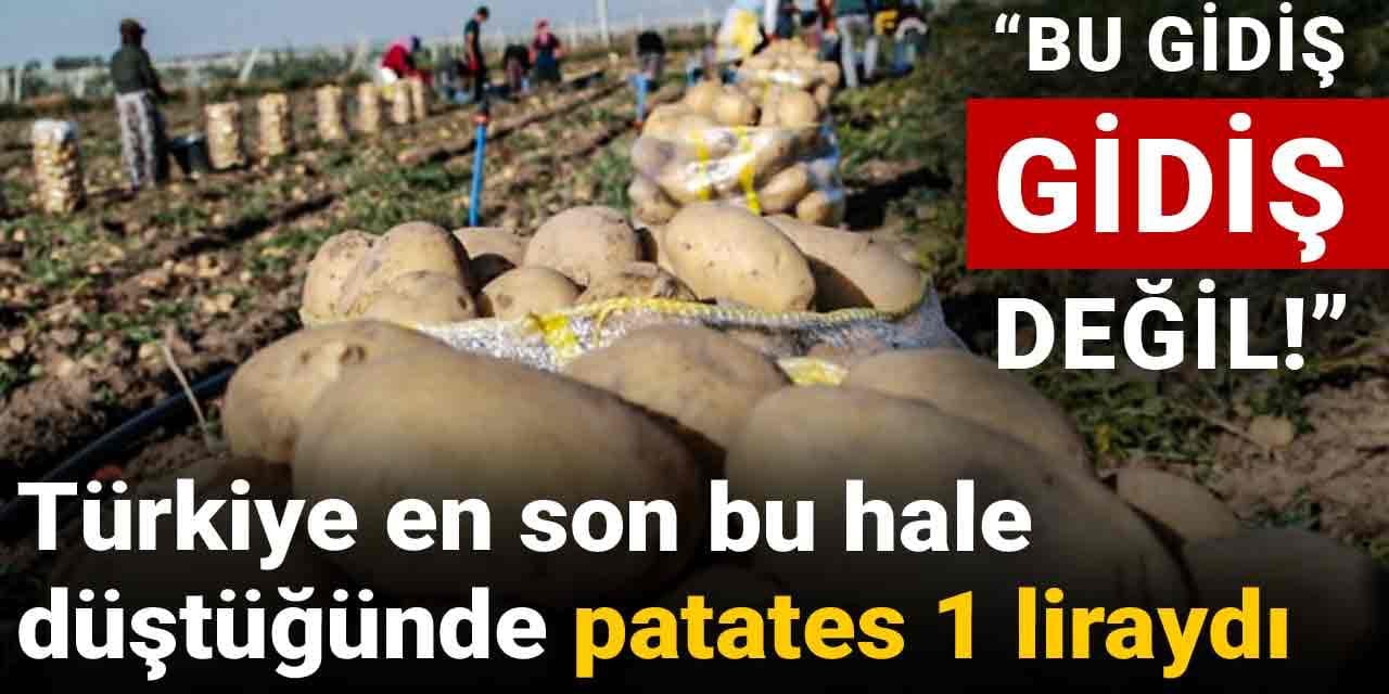 Türkiye en son bu hale düştüğünde patates 1 liraydı: Bu gidiş gidiş değil!