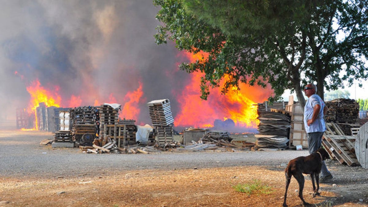 Manisa'da bir zeytinlikte başlayan yangın, palet fabrikasına sıçradı