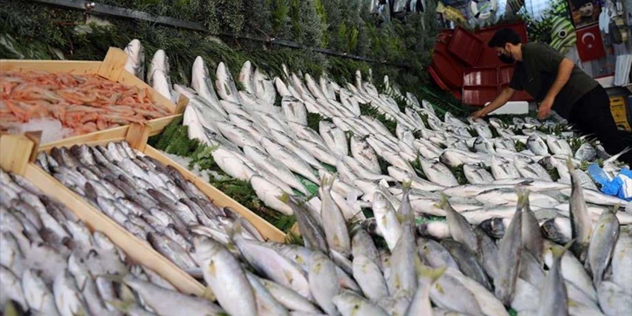 En çok yenecek balık belli oldu! Bolluktan kıyıya vurdu