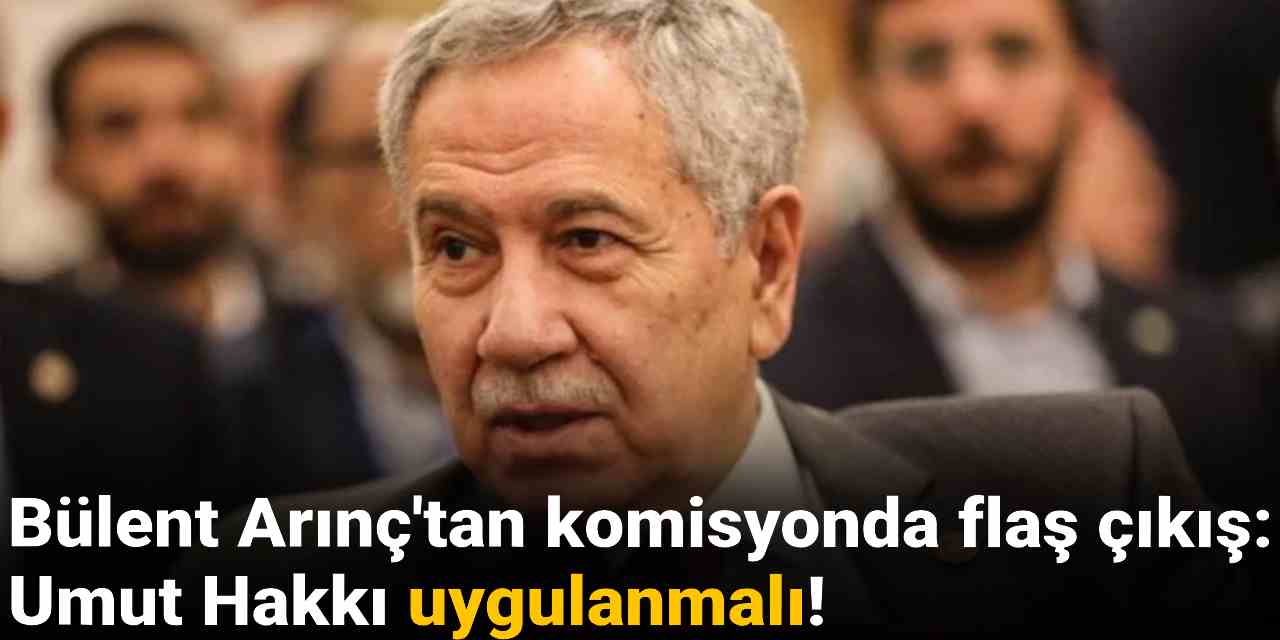 Bülent Arınç'tan komisyonda flaş çıkış: Umut Hakkı uygulanmalı!
