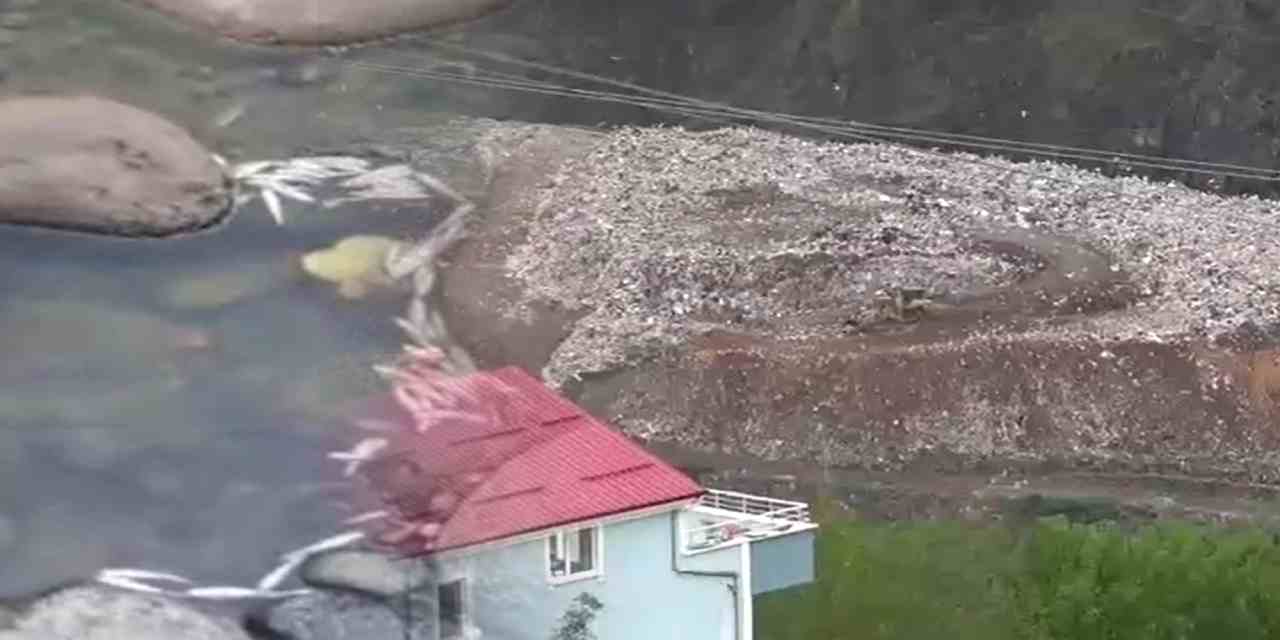 Katı atık tesisinde boru patladı dere siyaha büründü: Tek bir canlı bile kalmadı!