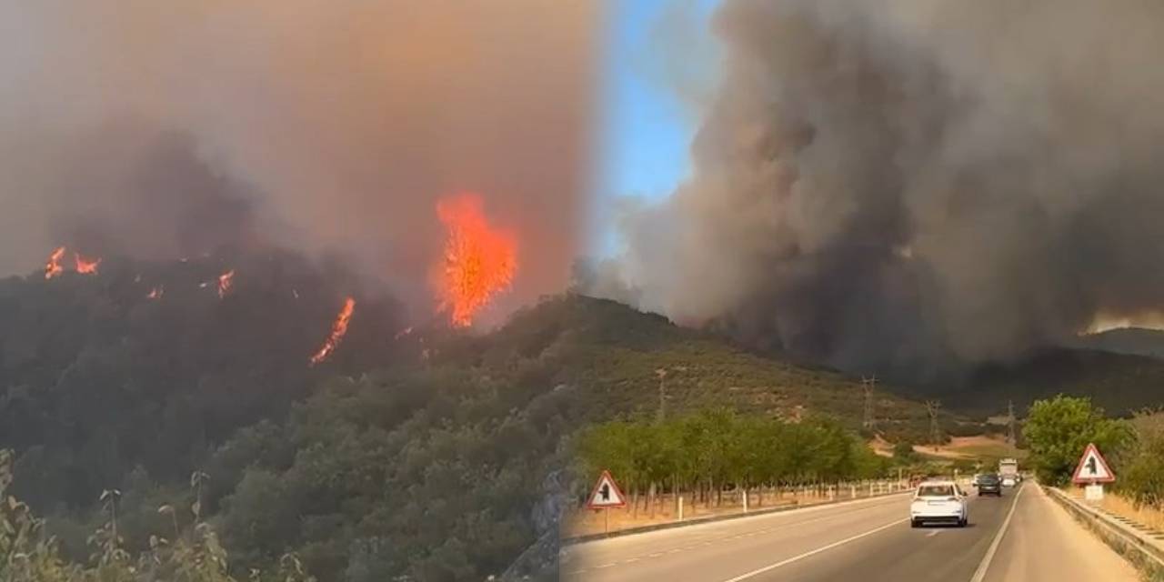Son dakika | Bursa'da yangın kabusu! Alevler mahallenin sınırına dayandı