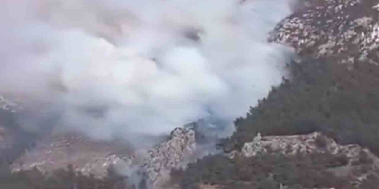 Antakya'da ormanlar alevlere teslim oldu!