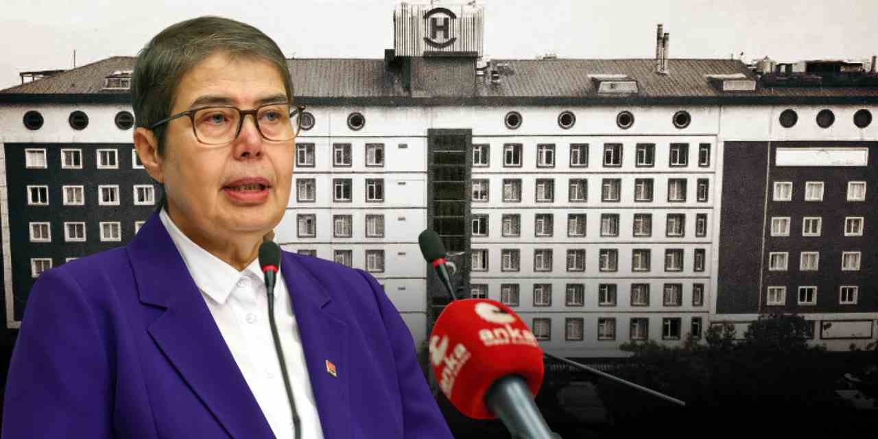 CHP'li Zeliha Aksaz Şabaz'dan 'Yenidoğan Çetesi' açıklaması: 'AKP suçüstü yakalandı'