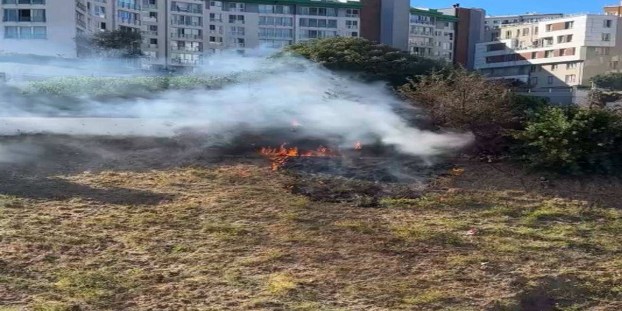 Kağıthane’de ağaçlık alan alev alev yandı!