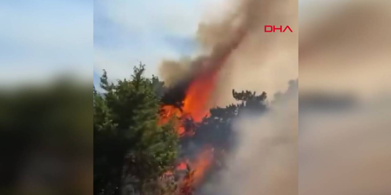 Amasya’da orman yangını!