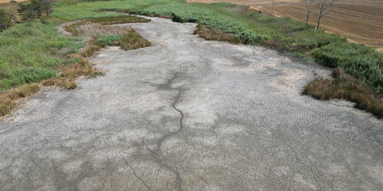 Tekirdağ'da gölette su seviyesi düştü: Yüzlerce balık telef oldu