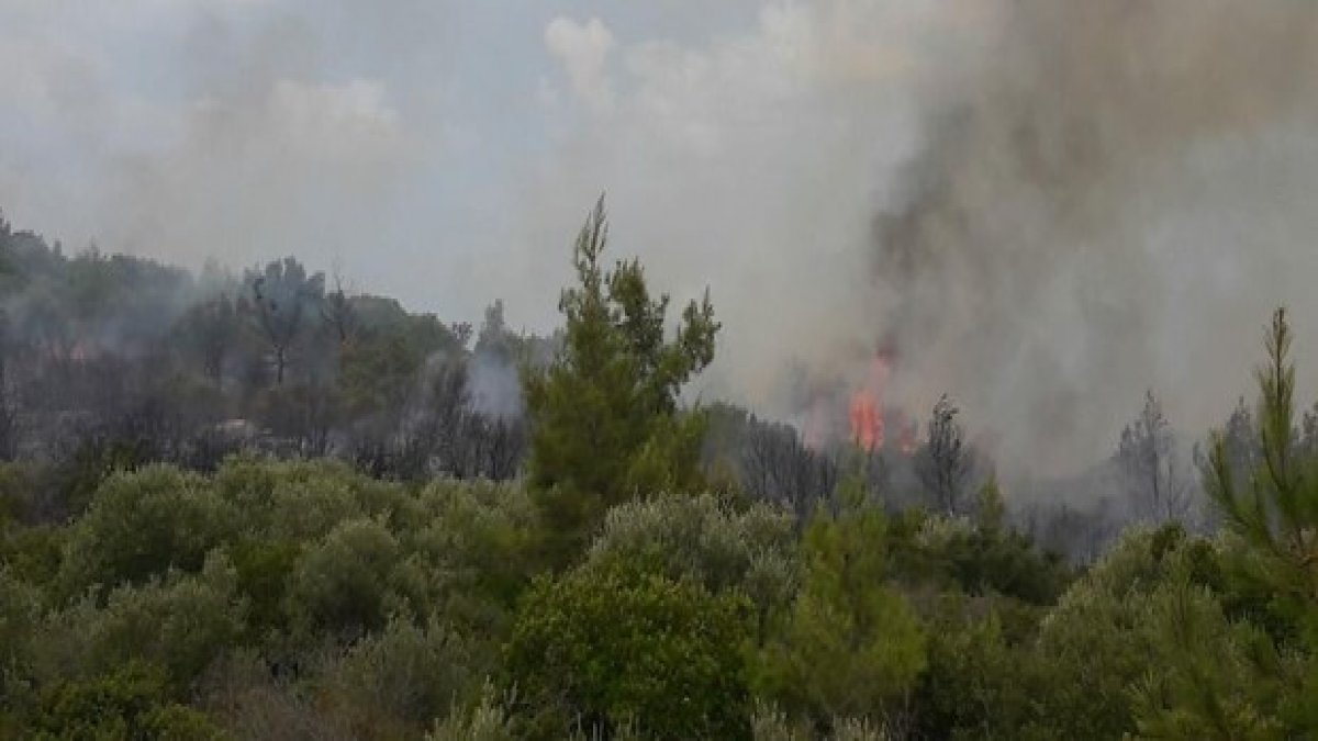 Dalaman'ın ardından şimdi de Milas! Muğla'da ikinci orman yangını