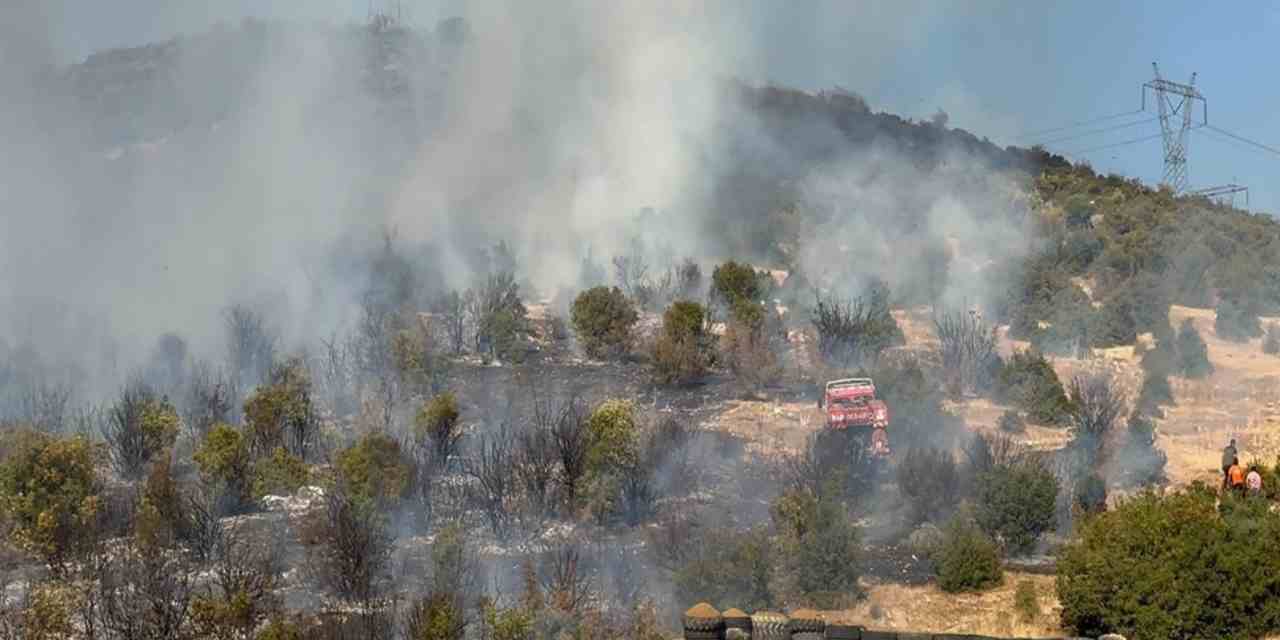 İznik'te iki noktada maki yangını