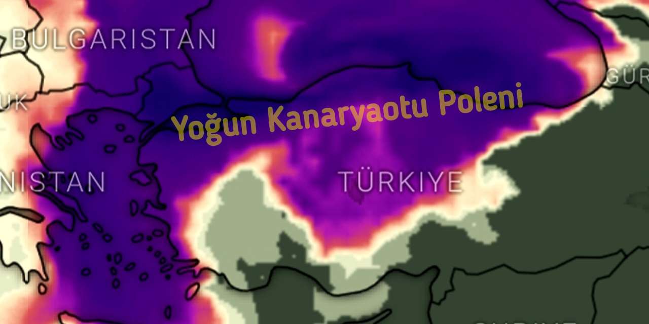 Aşırı sıcaklarla birleşti! Gökyüzünü kaplayacak: 250 kat daha güçlü geliyor