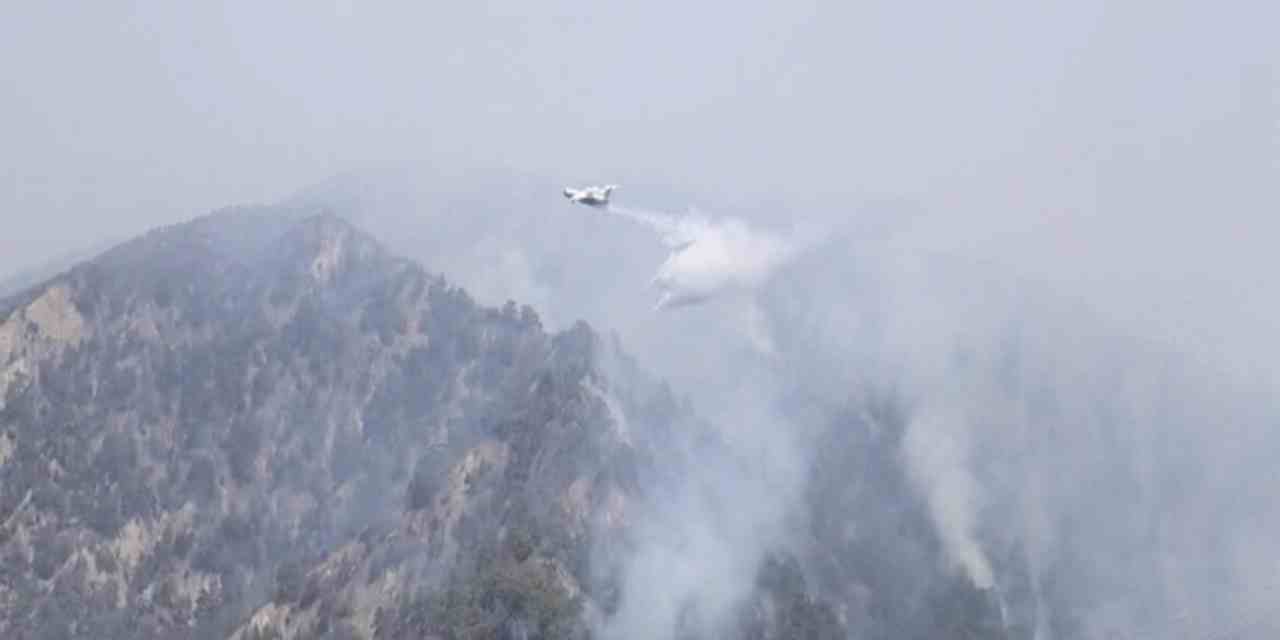 Aydın'da ormanlar 2 gündür yanıyor!