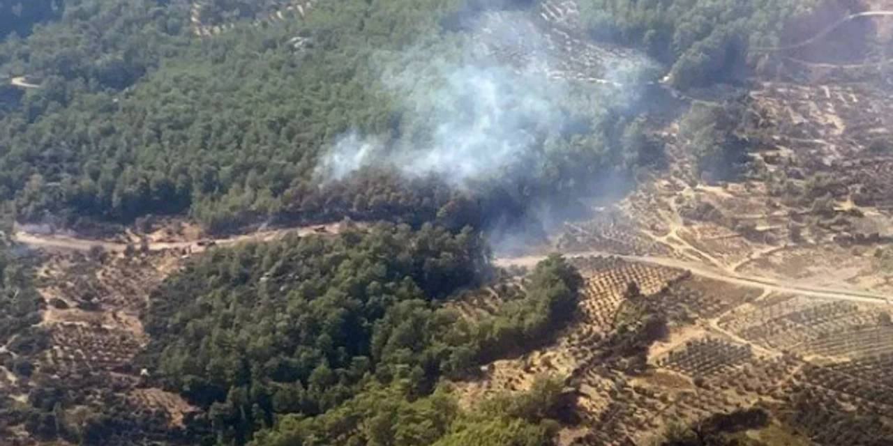 Adana'daki orman yangını kontrol altında