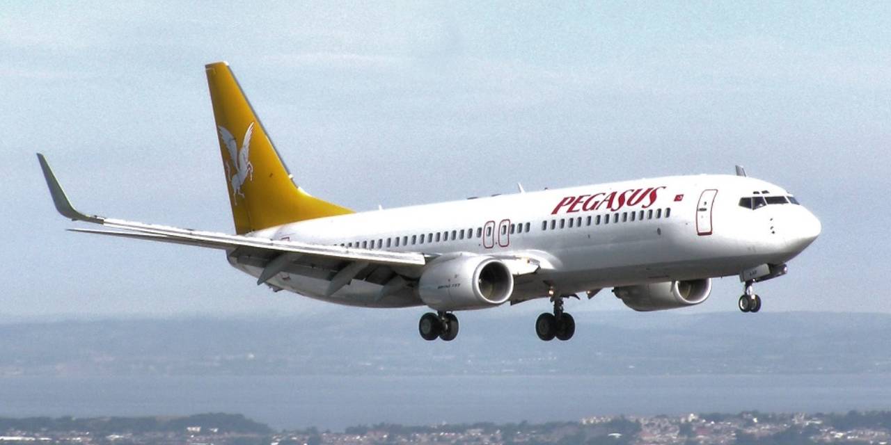 Leylek sürüsüne giren uçak Sabiha Gökçen'e acil iniş yaptı