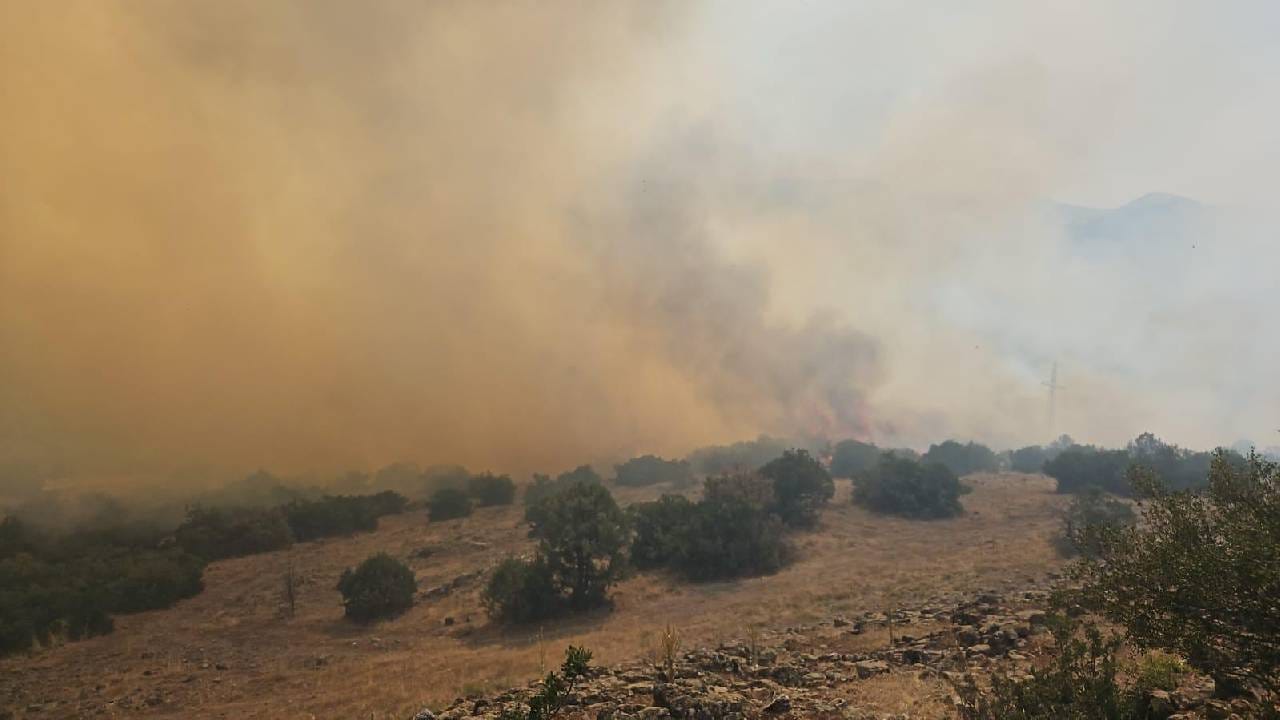 Balıkesir'de orman yangını: Gökyüzünü duman kapladı