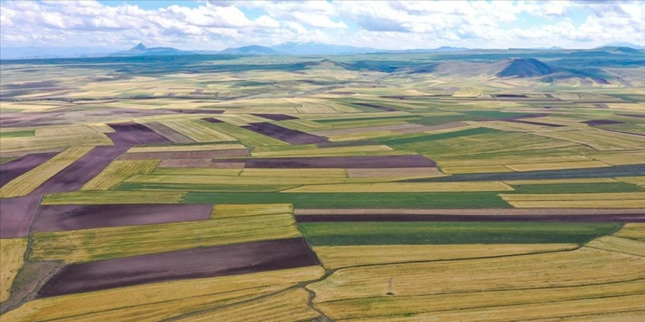 Ekilmeyen araziler için yeni adım: Yarın başlıyor! Devletten kiralık...