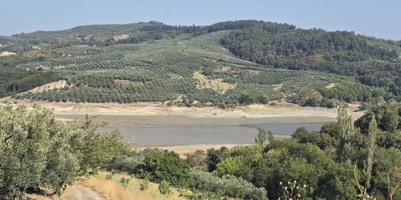 Bursa'da 42 yıldır hizmet veren Çınarlı Göleti tehlikede! Balıklar can çekişiyor