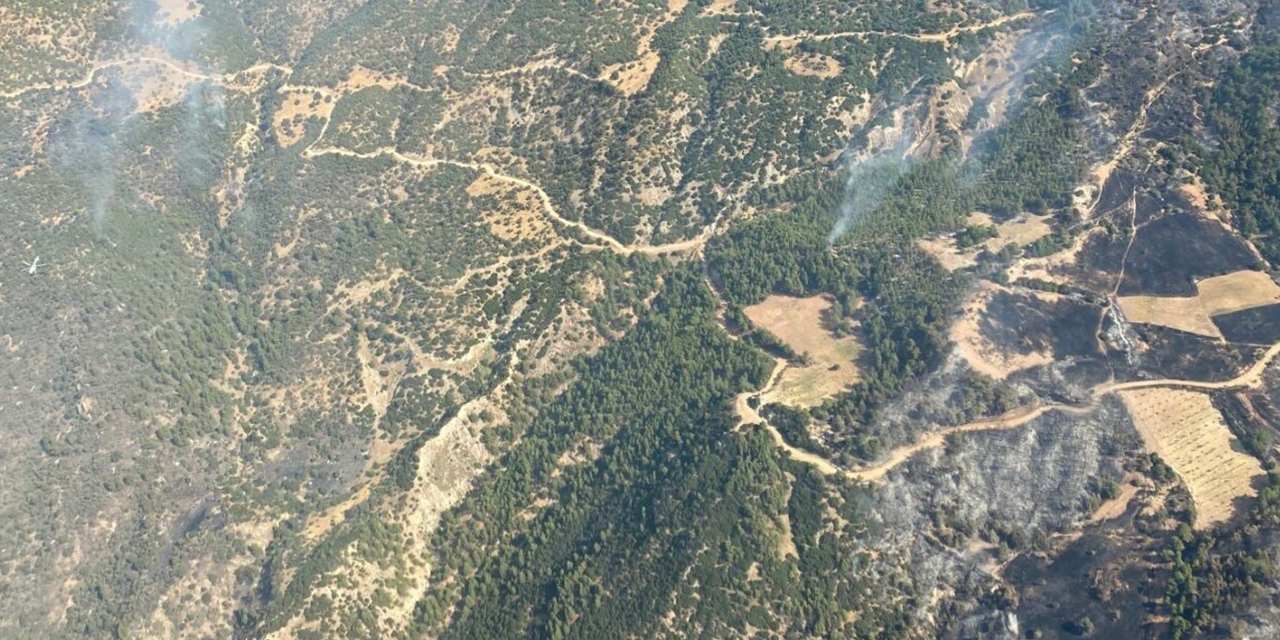 Aydın 3 gündür yanıyor!