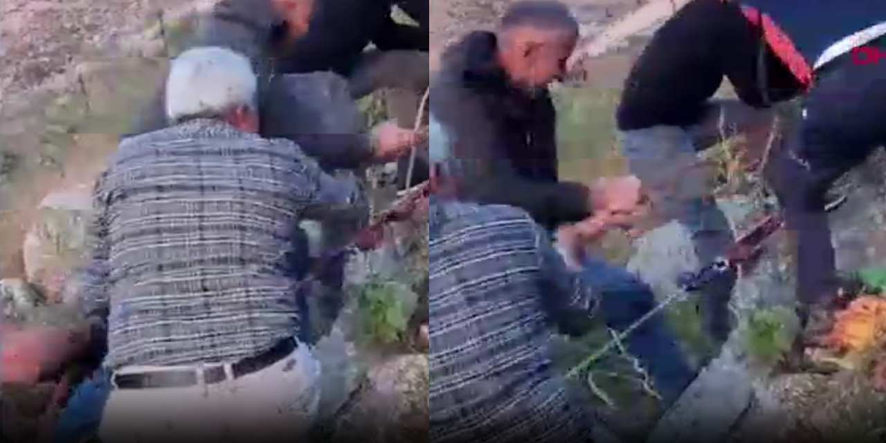 Mahsur kalan inek 12 saatte kurtarıldı