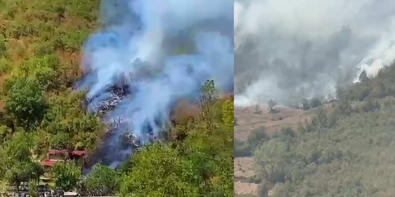 Küre Dağları Milli Parkı’nda orman yangını