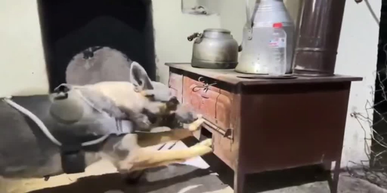 Bingöl'de uyuşturucu operasyonu: 2 şüpheli tutuklandı