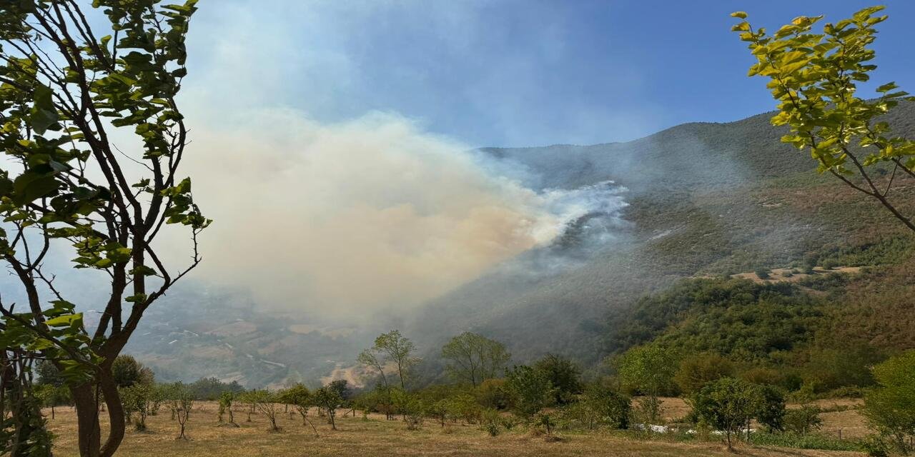 Bartın'da orman yangını: Havadan ve karadan müdahale ediliyor