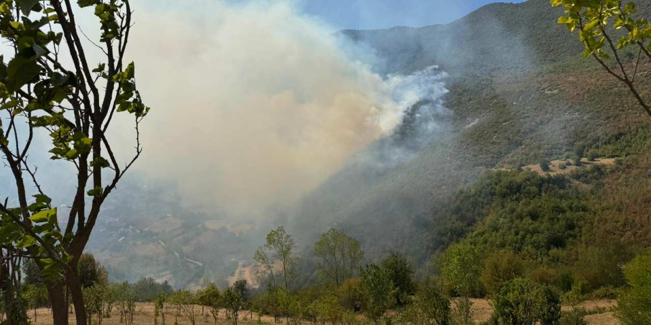 Küre Dağları'ndaki yangına açıklama geldi
