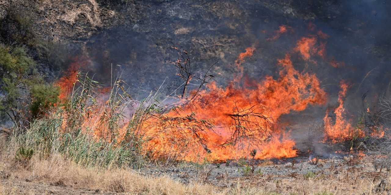 Manisa'da yangın kontrol altına alındı