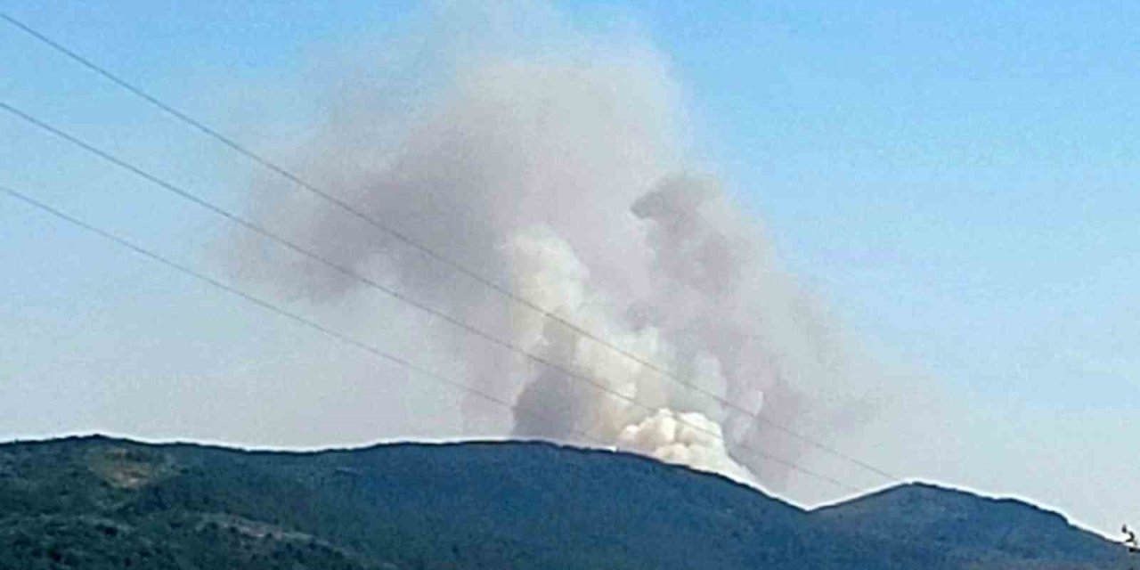 Karabük'te orman yangını